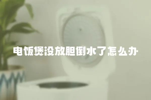 電飯煲沒放膽倒水了怎么辦