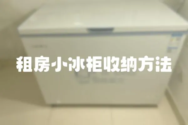 租房小冰柜收納方法