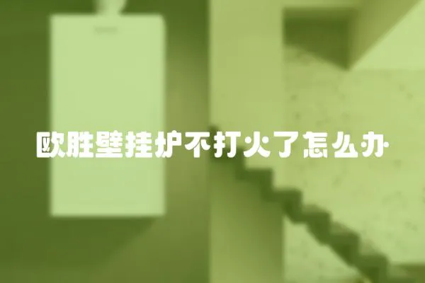 歐勝壁掛爐不打火了怎么辦
