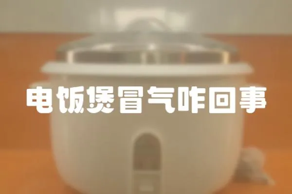 電飯煲冒氣咋回事