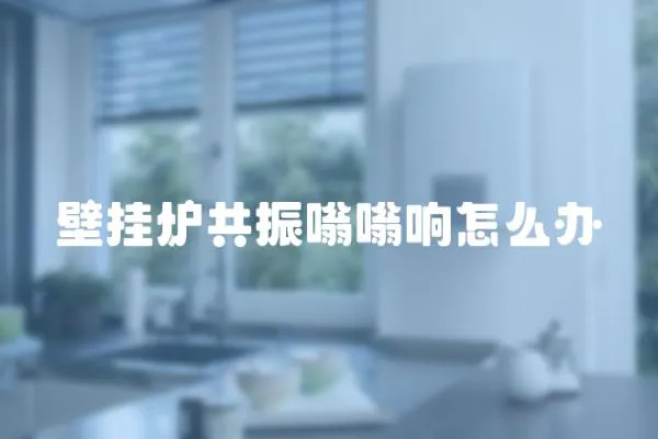 壁掛爐共振嗡嗡響怎么辦