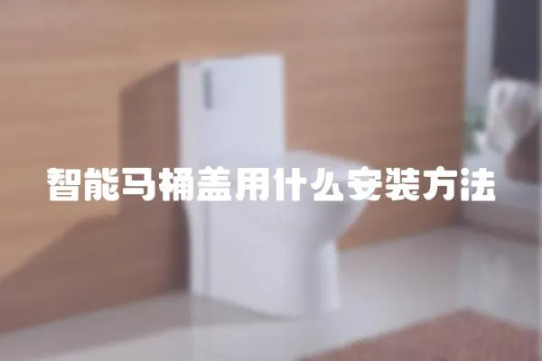 智能馬桶蓋用什么安裝方法