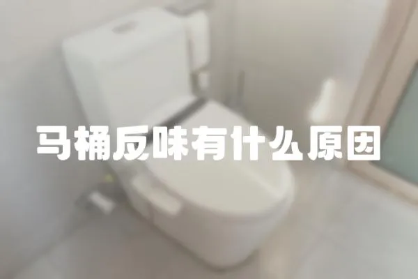 馬桶反味有什么原因