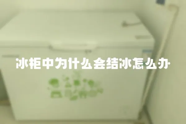 冰柜中為什么會結冰怎么辦