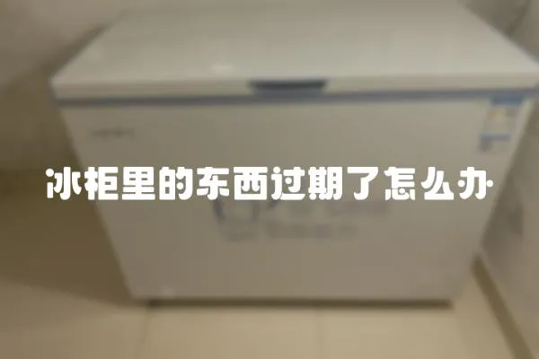 冰柜里的東西過期了怎么辦