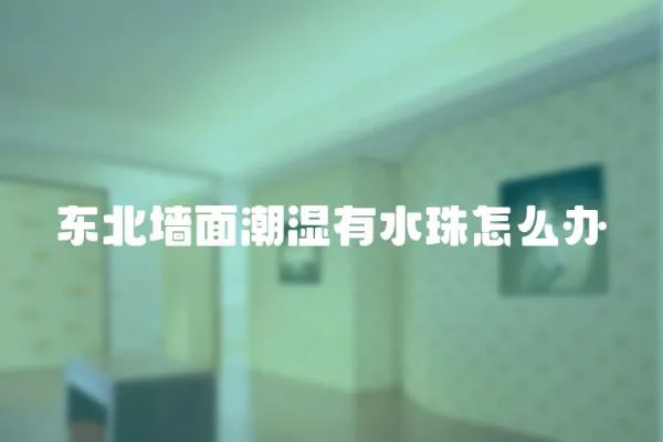 東北墻面潮濕有水珠怎么辦