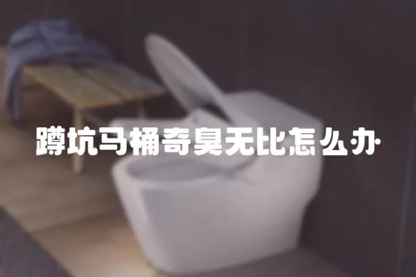 蹲坑馬桶奇臭無比怎么辦