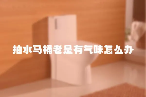 抽水馬桶老是有氣味怎么辦