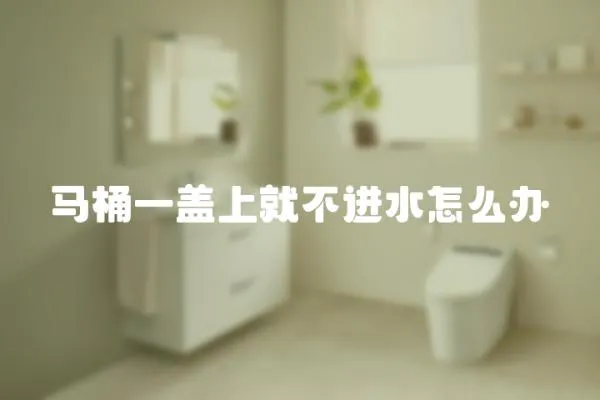 馬桶一蓋上就不進水怎么辦