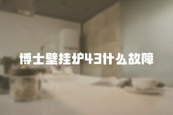 博士壁掛爐43什么故障