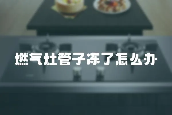 燃?xì)庠罟茏觾隽嗽趺崔k