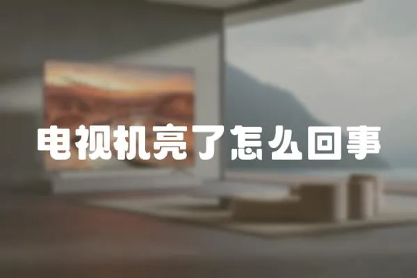 電視機(jī)亮了怎么回事