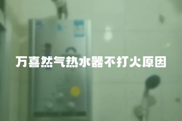 萬喜然氣熱水器不打火原因