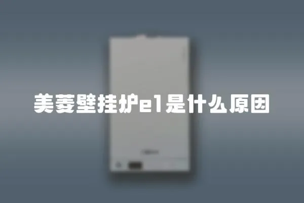 美菱壁掛爐e1是什么原因