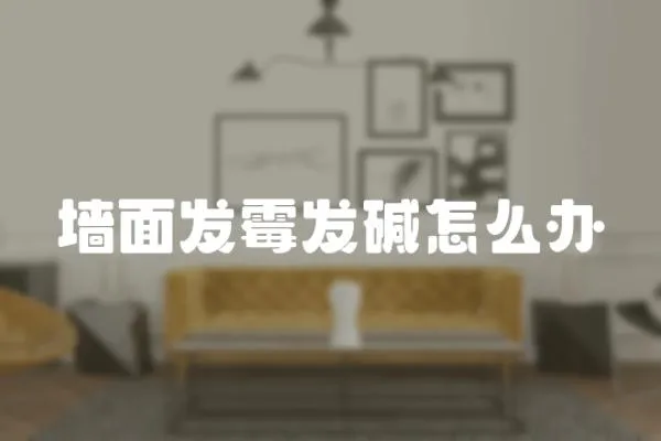 墻面發霉發堿怎么辦