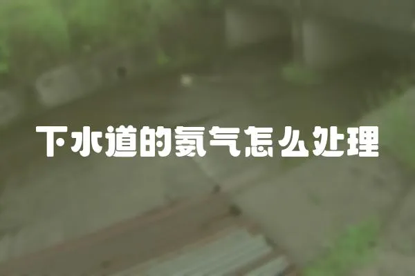 下水道的氨氣怎么處理
