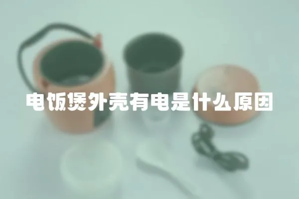 電飯煲外殼有電是什么原因