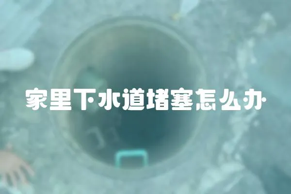 家里下水道堵塞怎么辦