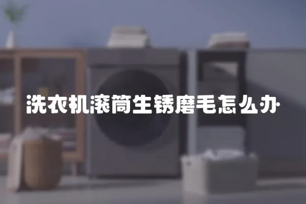 洗衣機滾筒生銹磨毛怎么辦