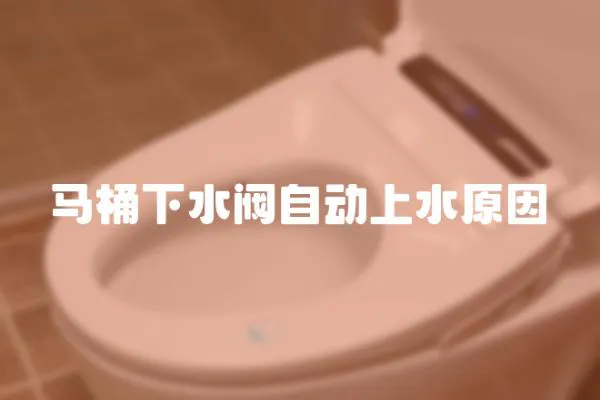 馬桶下水閥自動上水原因