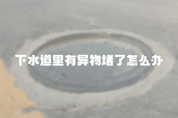 下水道里有異物堵了怎么辦