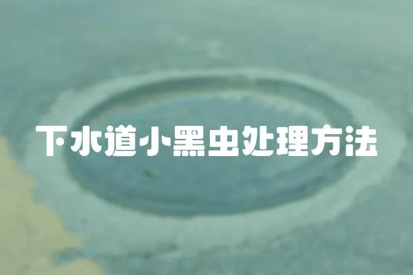 下水道小黑蟲處理方法