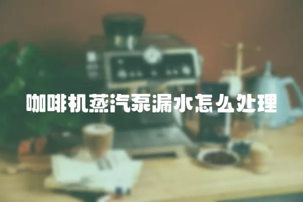 咖啡機蒸汽泵漏水怎么處理