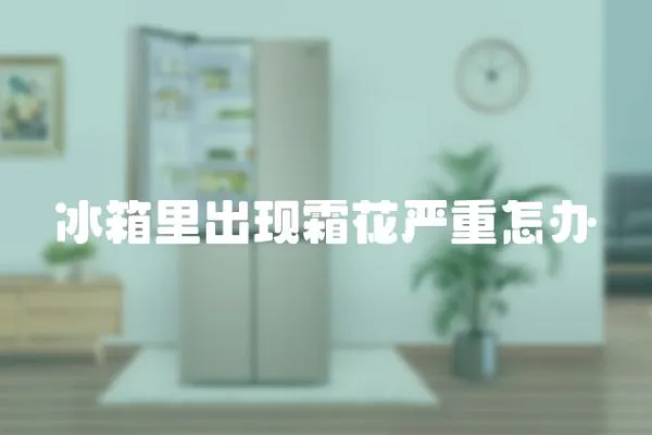 冰箱里出現霜花嚴重怎辦
