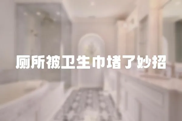 廁所被衛(wèi)生巾堵了妙招