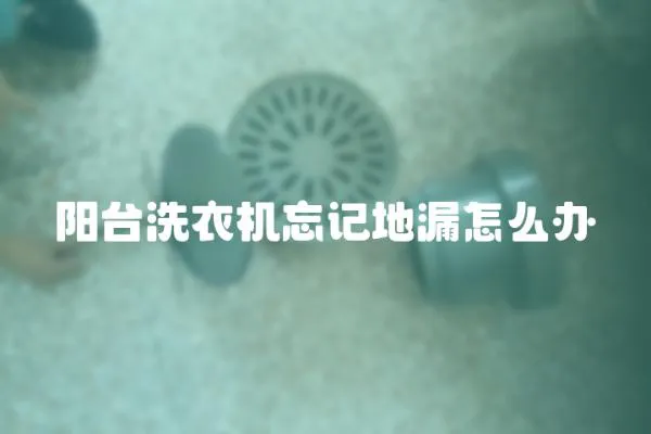 陽臺(tái)洗衣機(jī)忘記地漏怎么辦