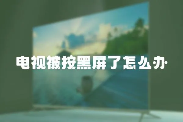 電視被按黑屏了怎么辦