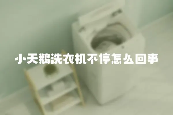 小天鵝洗衣機不停怎么回事