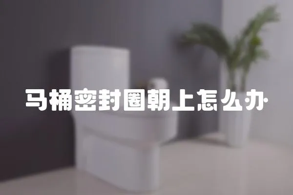 馬桶密封圈朝上怎么辦