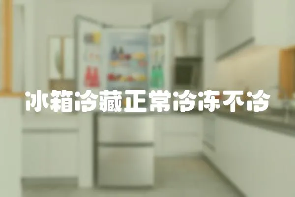 冰箱冷藏正常冷凍不冷