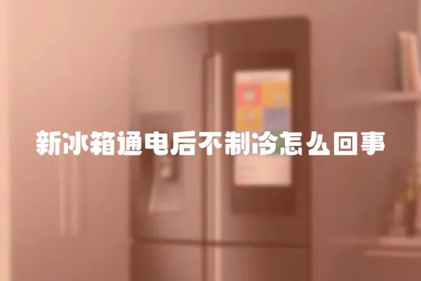 新冰箱通電后不制冷怎么回事