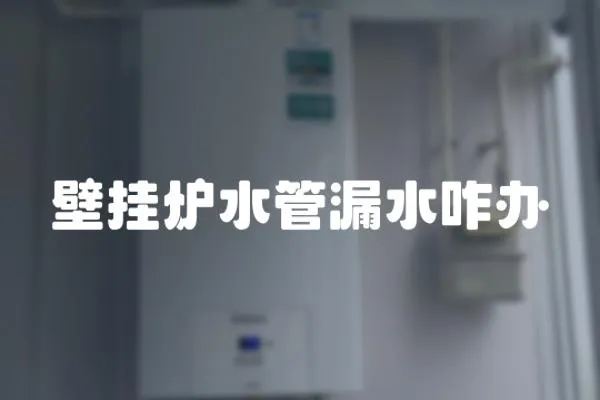 壁掛爐水管漏水咋辦