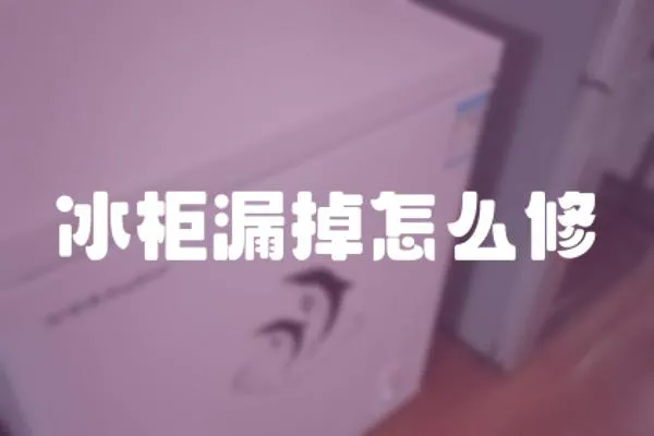 冰柜漏掉怎么修