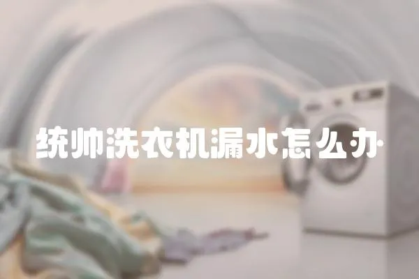 統帥洗衣機漏水怎么辦