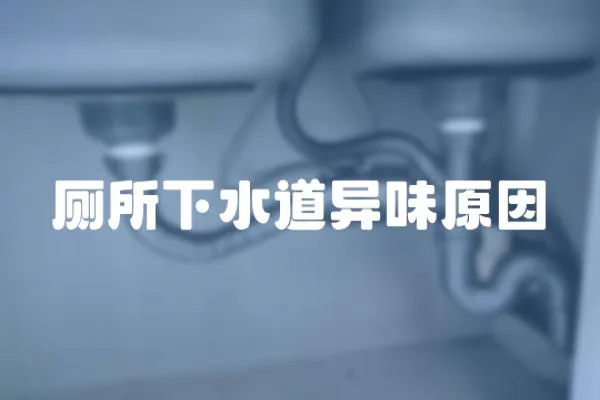 廁所下水道異味原因