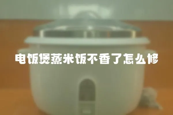 電飯煲蒸米飯不香了怎么修