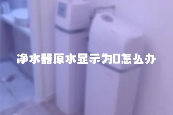 净水器原水显示为0怎么办