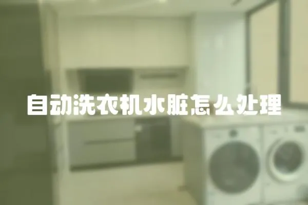 自動洗衣機水臟怎么處理