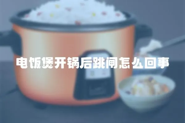 電飯煲開鍋后跳閘怎么回事