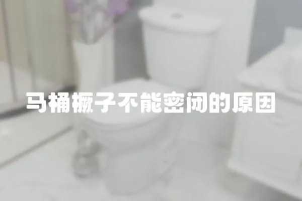 馬桶橛子不能密閉的原因