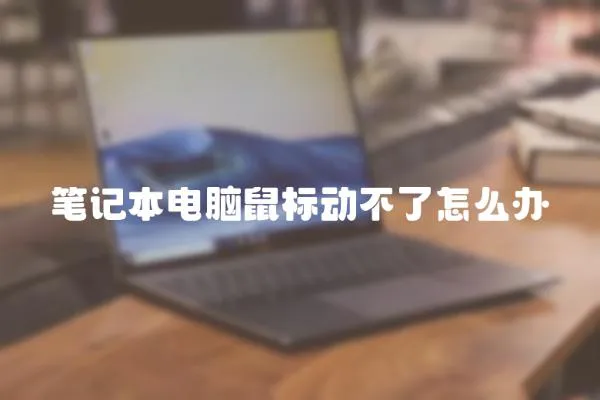 筆記本電腦鼠標(biāo)動不了怎么辦