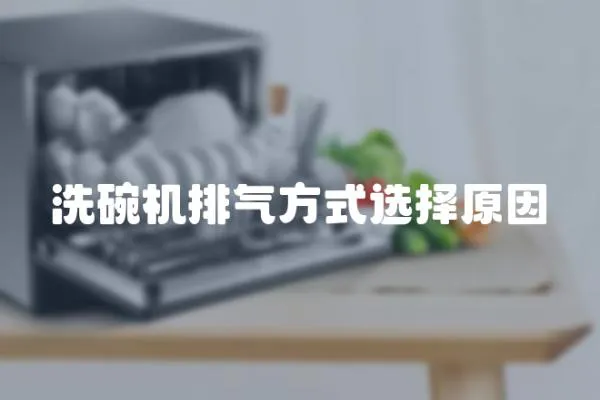 洗碗機排氣方式選擇原因