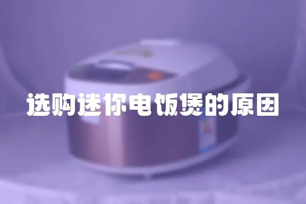 選購(gòu)迷你電飯煲的原因