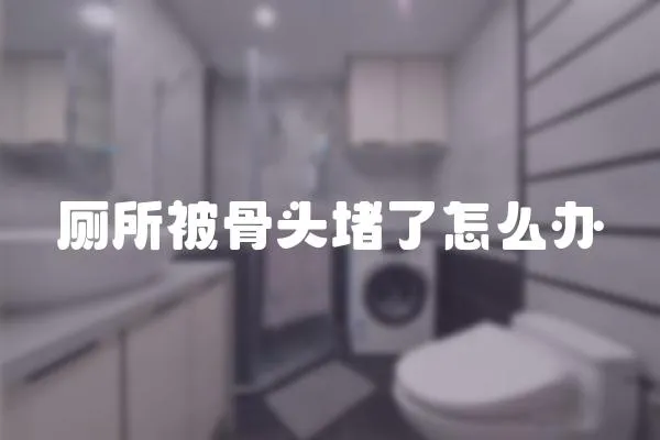 廁所被骨頭堵了怎么辦