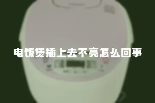 電飯煲插上去不亮怎么回事