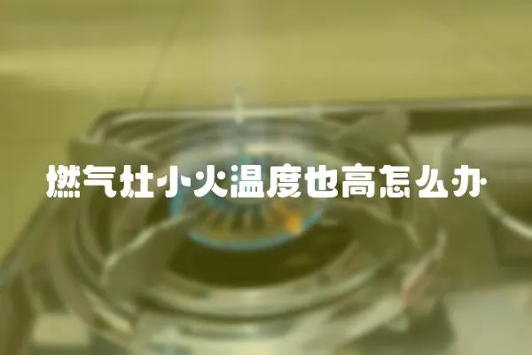 燃?xì)庠钚』饻囟纫哺咴趺崔k